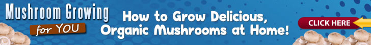 Mushroom Growing